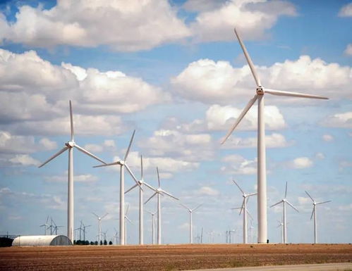 建风机制造厂 签全球最大储能项目,中企助力沙特发展清洁能源