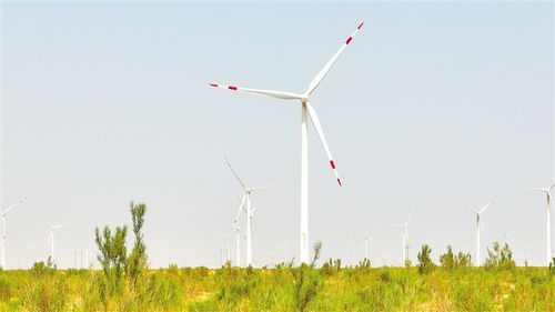 全国党报 新媒体 甘肃武威调研行 天马故里 大美凉州