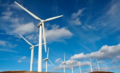 风力发电的危害有多大 欧美都纷纷叫停,为啥我国依旧大力建造