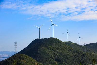 风力发电真的没有害处?事实可能并不这样