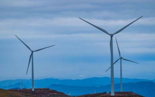 风力发电是垃圾电 欧美拆除风机的真相