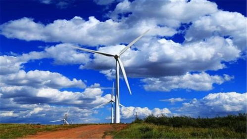 西方拆除与我国力建，风力发电的争议与现实