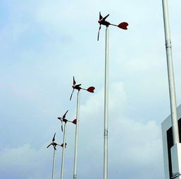 城市新动力 楼顶装上风力发电机