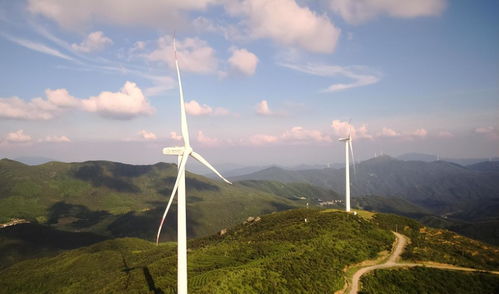 风力发电的争议 欧美拆除与我国大力发展的背后逻辑